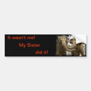 humoristische olifant bumpersticker