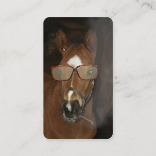 Humoristische Paardenveulen roken sigaar Contact K Visitekaartje