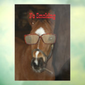 Humoristische Paardenveulen Roken Sigaar Raam Clin Raamsticker (Vel 3)