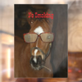 Humoristische Paardenveulen Roken Sigaar Raam Clin Raamsticker (Vel 2)
