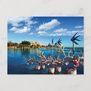 Humoristische Post Kaarten van de pelgrimstocht va Feestdagenkaart