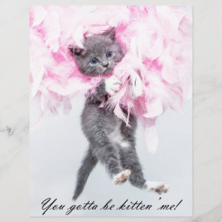 Humoristische Schattigee Funny Cat