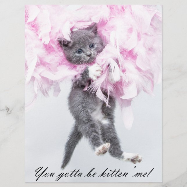 Humoristische Schattigee Funny Cat (Voorkant)