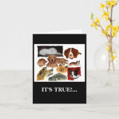 Humoristische Vaderdag Kaart (Gele Bloem)