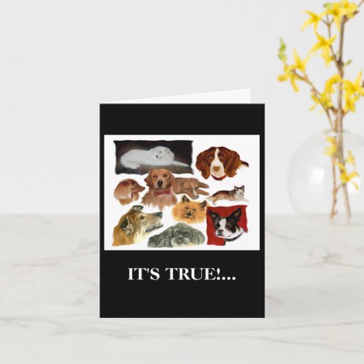 Humoristische Vaderdag Kaart (Gele Bloem)