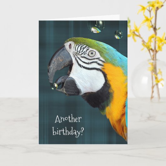 Humoristische verjaardag-papegaai met bubbels kaart (Gele Bloem)