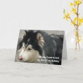 Humoristische verjaardag van de hond kaart (Gele Bloem)