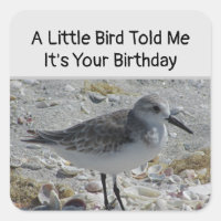 Humoristische Verjaardag Wensen Kleine Vogel Envel