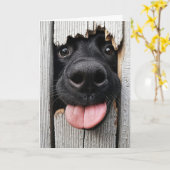 Humoristische verjaardagshond neus kaart (Gele Bloem)