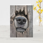 Humoristische verjaardagshond neus kaart (Gele Bloem)