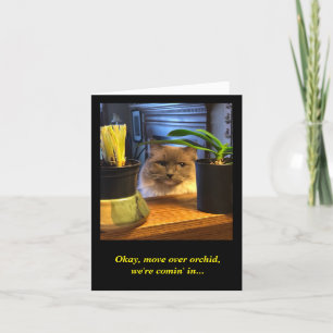 Humoristische verjaardagswens kaart