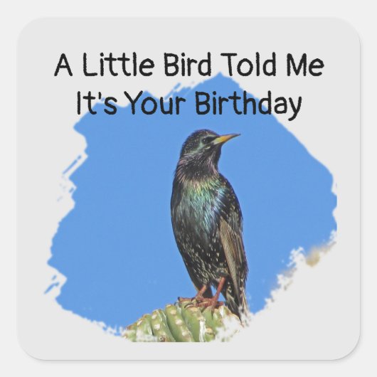 Humoristische verjaardagswensen spreeuwenenvelop z vierkante sticker (Voorkant)