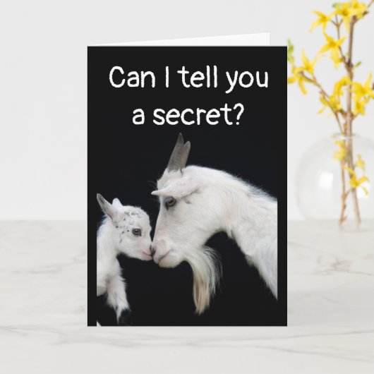 HUMORISTISCHE "VERLATE" VERJAARDAG GEEN MOEITE OVE KAART (Gele Bloem)