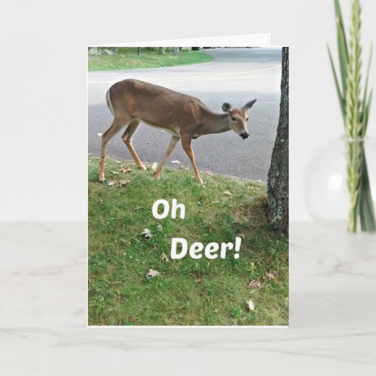 Humoristische verlate verjaardagswensen kaart (Voorkant)