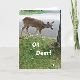 Humoristische verlate verjaardagswensen kaart