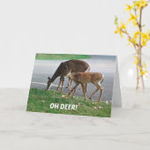 Humoristische verlate verjaardagswensen kaart (Gele Bloem)