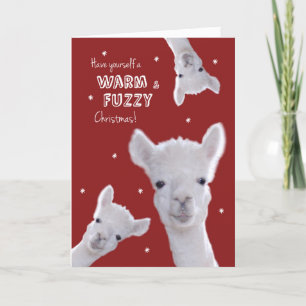 Humoristische Warme & Fuzzy Kerst Kaart met Lamas