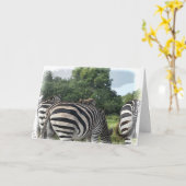 Humoristische Zebra achter Get Well Kaart (Gele Bloem)