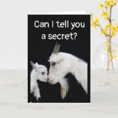 HUMOROUS "BELATED" BIRTHDAY NO BUTTS ABOUT IT! CAR KAART (Gele Bloem)