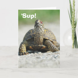 Humorous Box Turtle Wenskaart Kaart