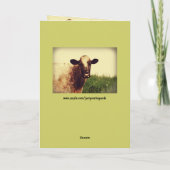 Humorous Bull Photo Vaderdag Kaart (Achterkant)