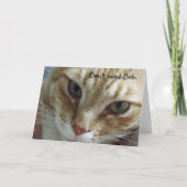 Humorous Cat Birthday Kaart (Voorkant)