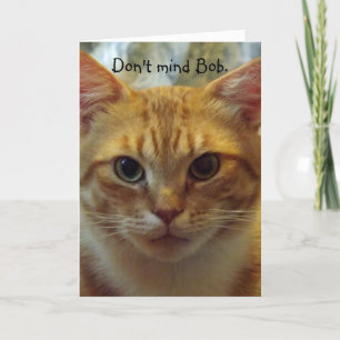 Humorous Cat Birthday Kaart