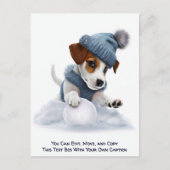 Humorous Customizable Any Occasion Postcard Briefkaart (Voorkant)