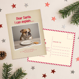 Humorous Funny Dog Pet Family Christmas Postcard Briefkaart