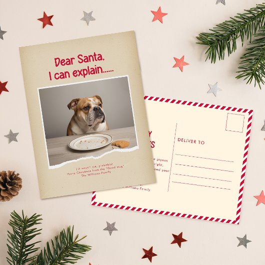 Humorous Funny Dog Pet Family Christmas Postcard Briefkaart