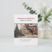 Humorous Funny Pet Dog Photo Christmas Postcard Feestdagenkaart (Staand voorkant)