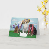 Humorous greeting card, foto van 3 dogs, any theme kaart (Gele Bloem)