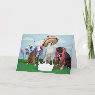 Humorous greeting card, foto van 3 dogs, any theme kaart
