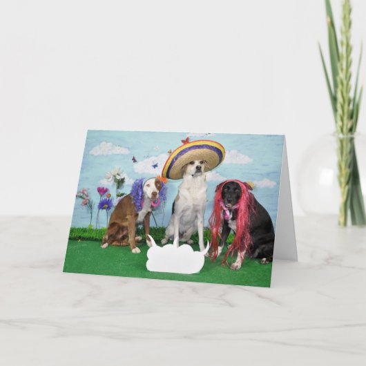 Humorous greeting card, foto van 3 dogs, any theme kaart (Voorkant)