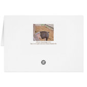 HUMOROUS "LATEN LUNCH"/HOG EAT IN PIGPEN (Achterkant Horizontaal)