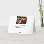 Humorous Teckel Verjaardag Kaart (Achterkant)