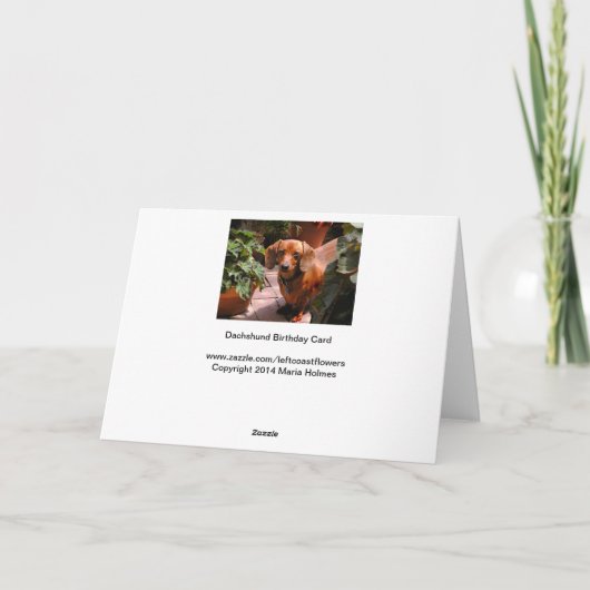 Humorous Teckel Verjaardag Kaart (Achterkant)