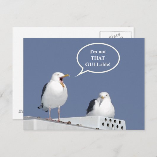 Humorous Yelling Seagull Funny Post Card Briefkaart (Voorkant / Achterkant)