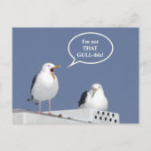 Humorous Yelling Seagull Funny Post Card Briefkaart (Voorkant)