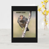 Humoureus Bird Wenskaart Kaart (Gele Bloem)