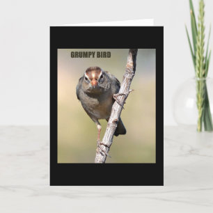 Humoureus Bird Wenskaart Kaart