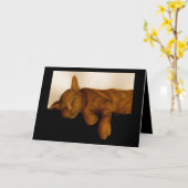 Humoureus Cat Nap Birthday-kaart Kaart (Gele Bloem)