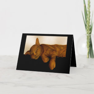 Humoureus Cat Nap Birthday-kaart Kaart