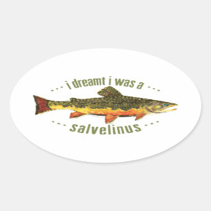Humoureus forel Vist Ovale Sticker