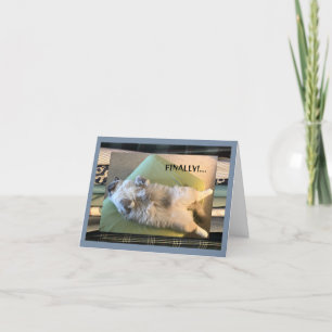 Humoureus, grappig en gekke kaart