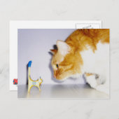 Humoureus kat Staring op Wooden Kat Statue Briefkaart (Voorkant / Achterkant)