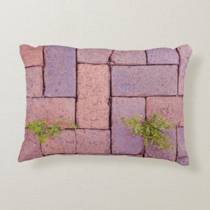 Humoureus loopvlakpatroon van bestratingsstenen accent kussen