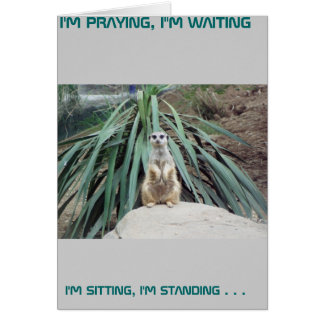 Humoureus Meerkat - Cirkel 1