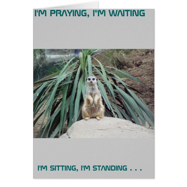 Humoureus Meerkat - Cirkel 1 (Voorkant)