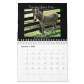 Humoureus motivatie falen en onzin kalender (Feb 2026)